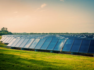 solar panel park with blue cells on a green field and sunset in the background