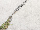 Grass and weeds growing in cracked sidewalk. Close up, top down view.