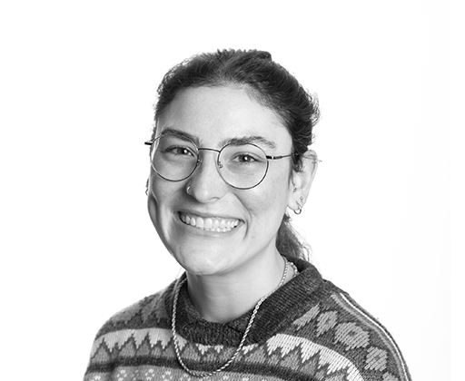 Allison L. Frebowitz